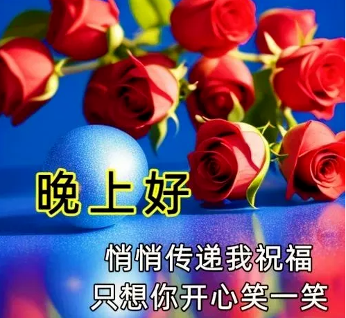 晚上好,晚安
