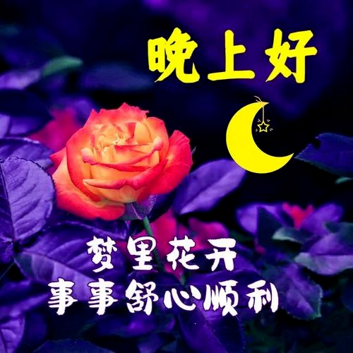 晚上好,晚安