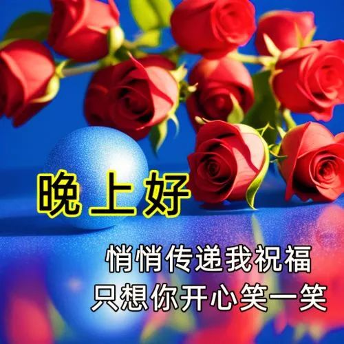 晚上好,晚安