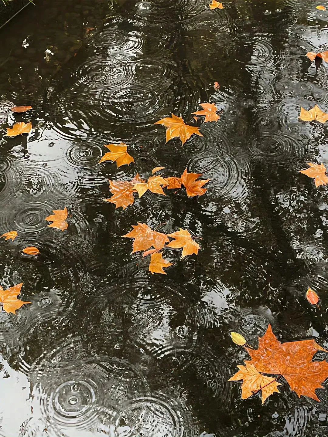 下雨天