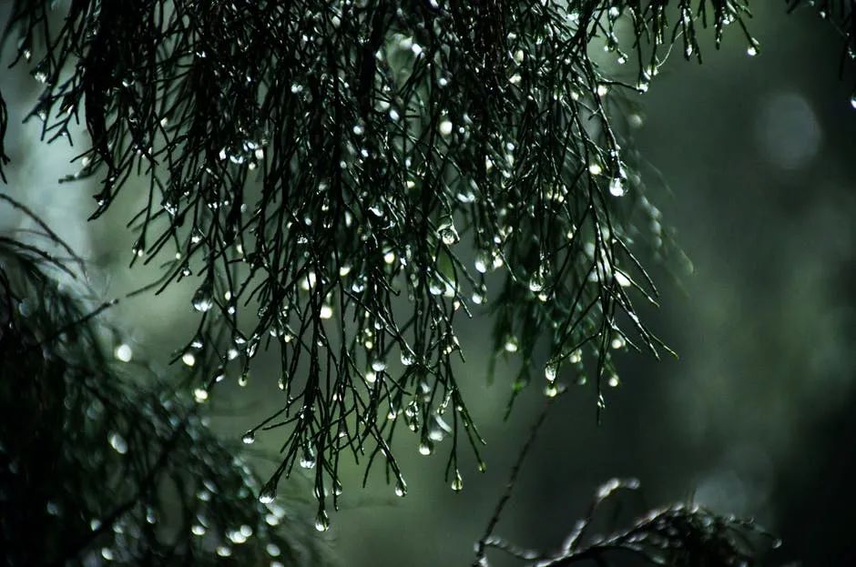 下雨天