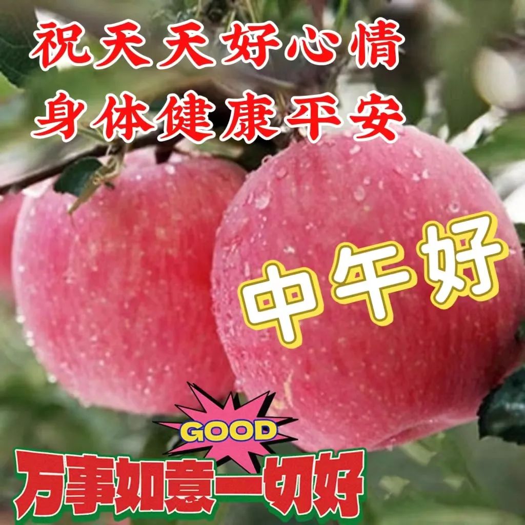 中午好,午安