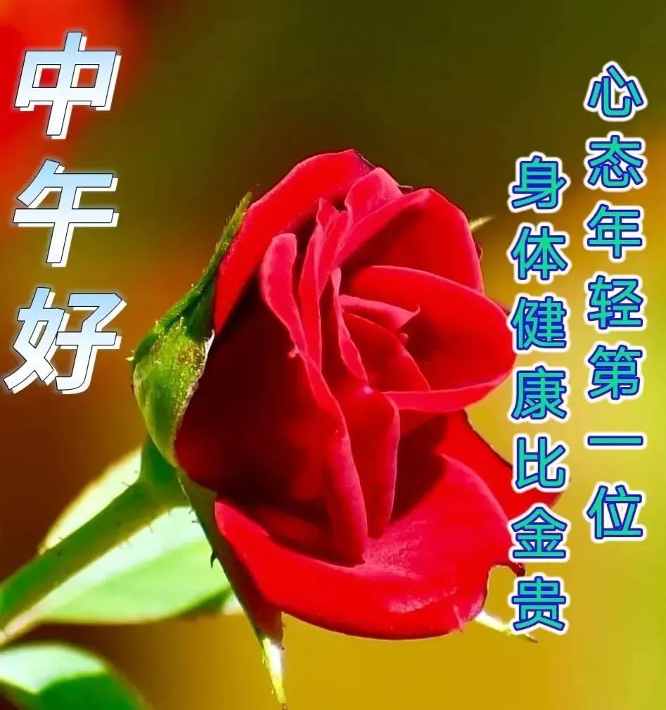 中午好,午安
