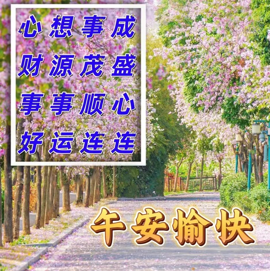 中午好,午安
