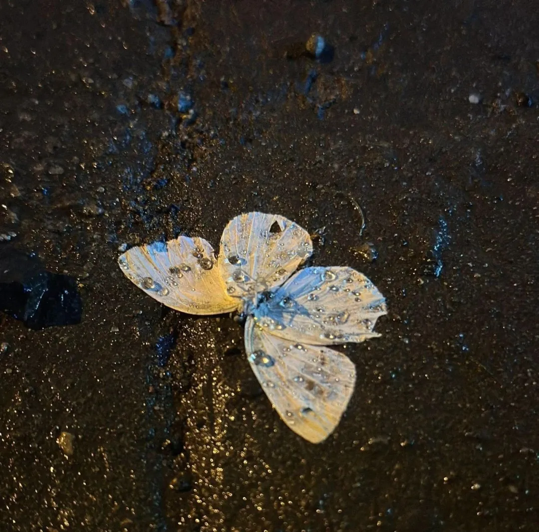适合下雨天发的朋友圈高质量文案