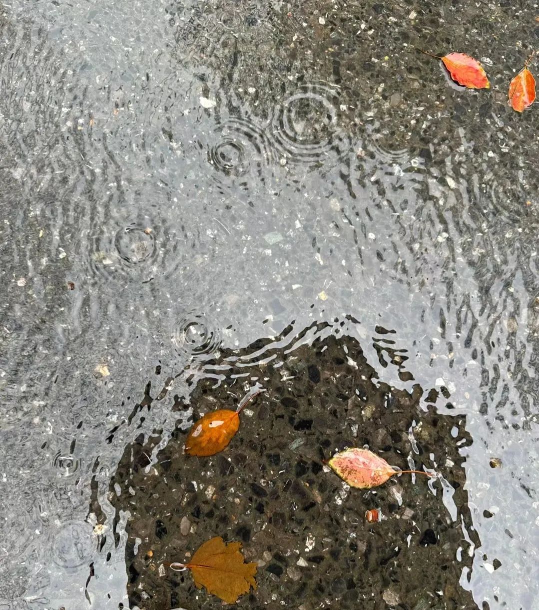 下雨天