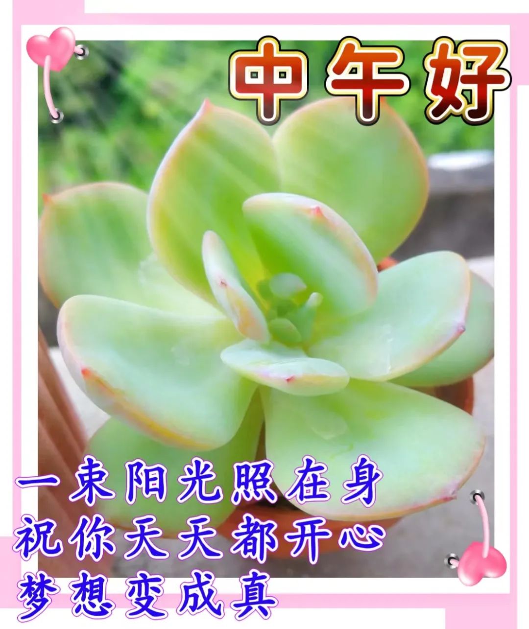 中午好,午安