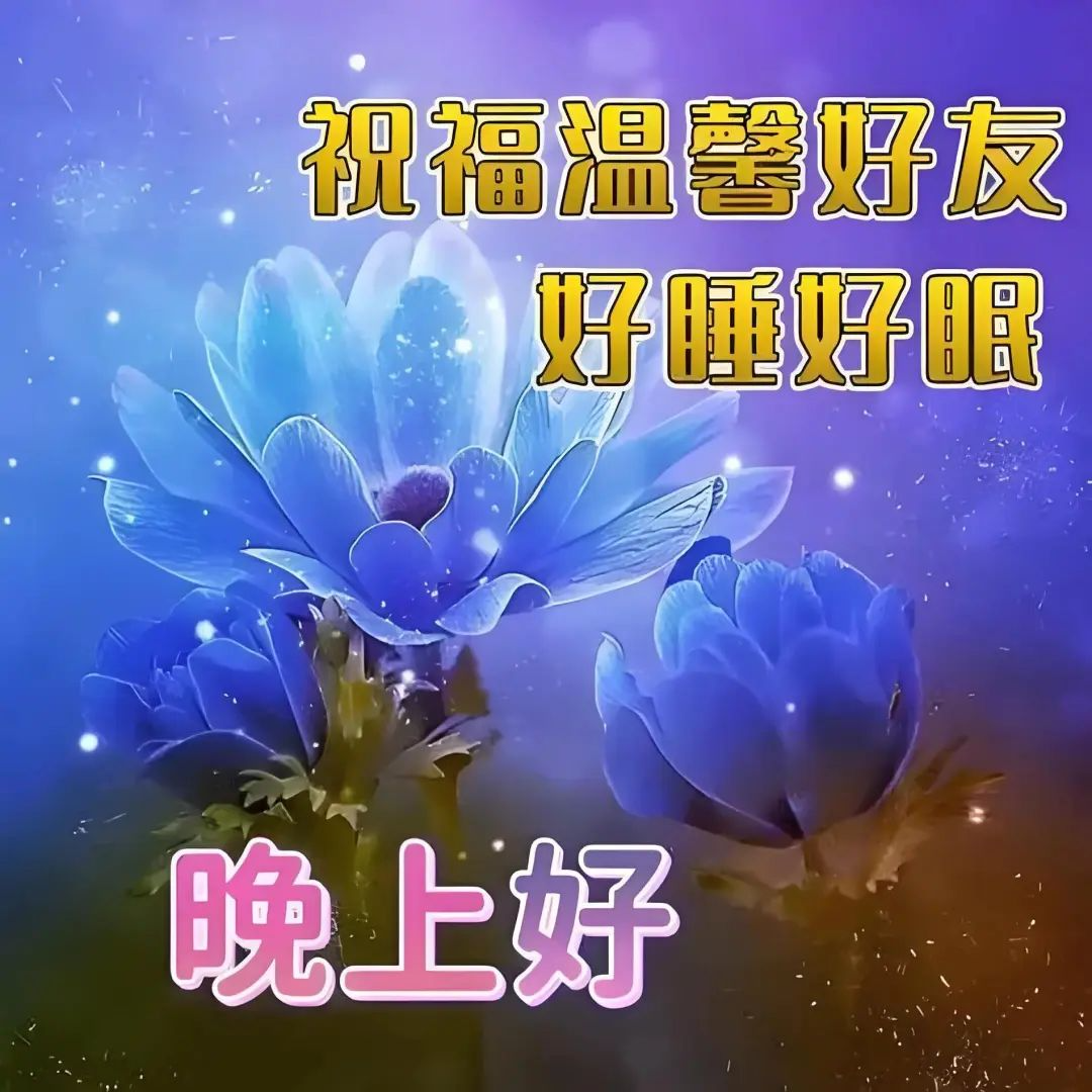 晚上好,晚安