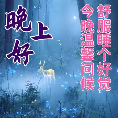 晚上好,晚安