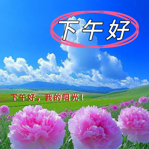 下午好