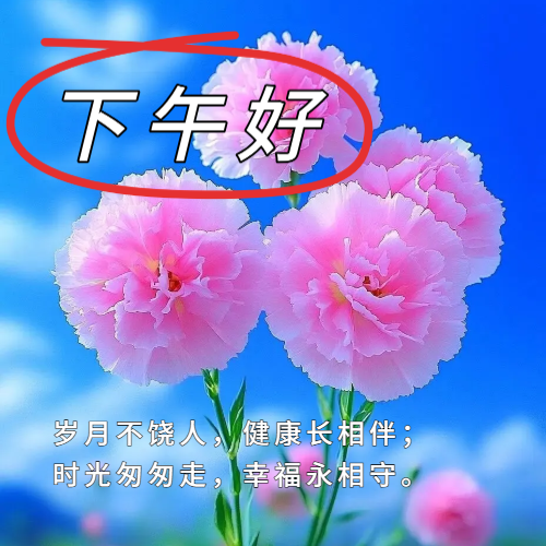 下午好