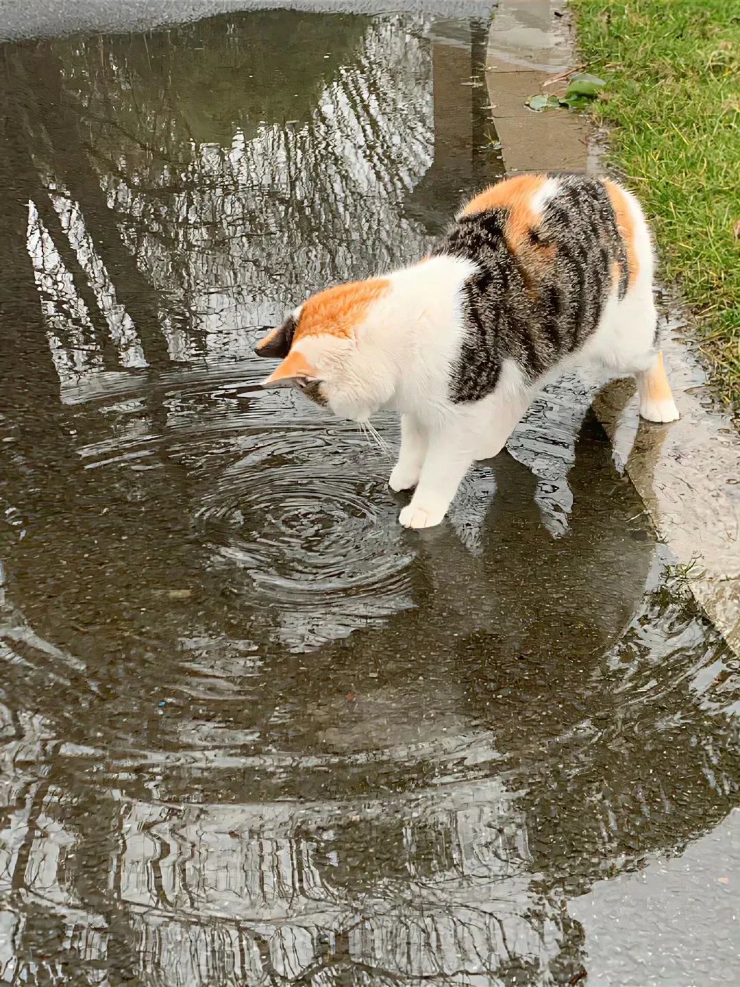 下雨天