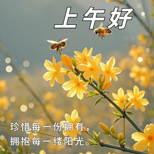 上午好