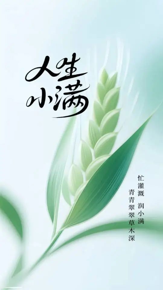 小满