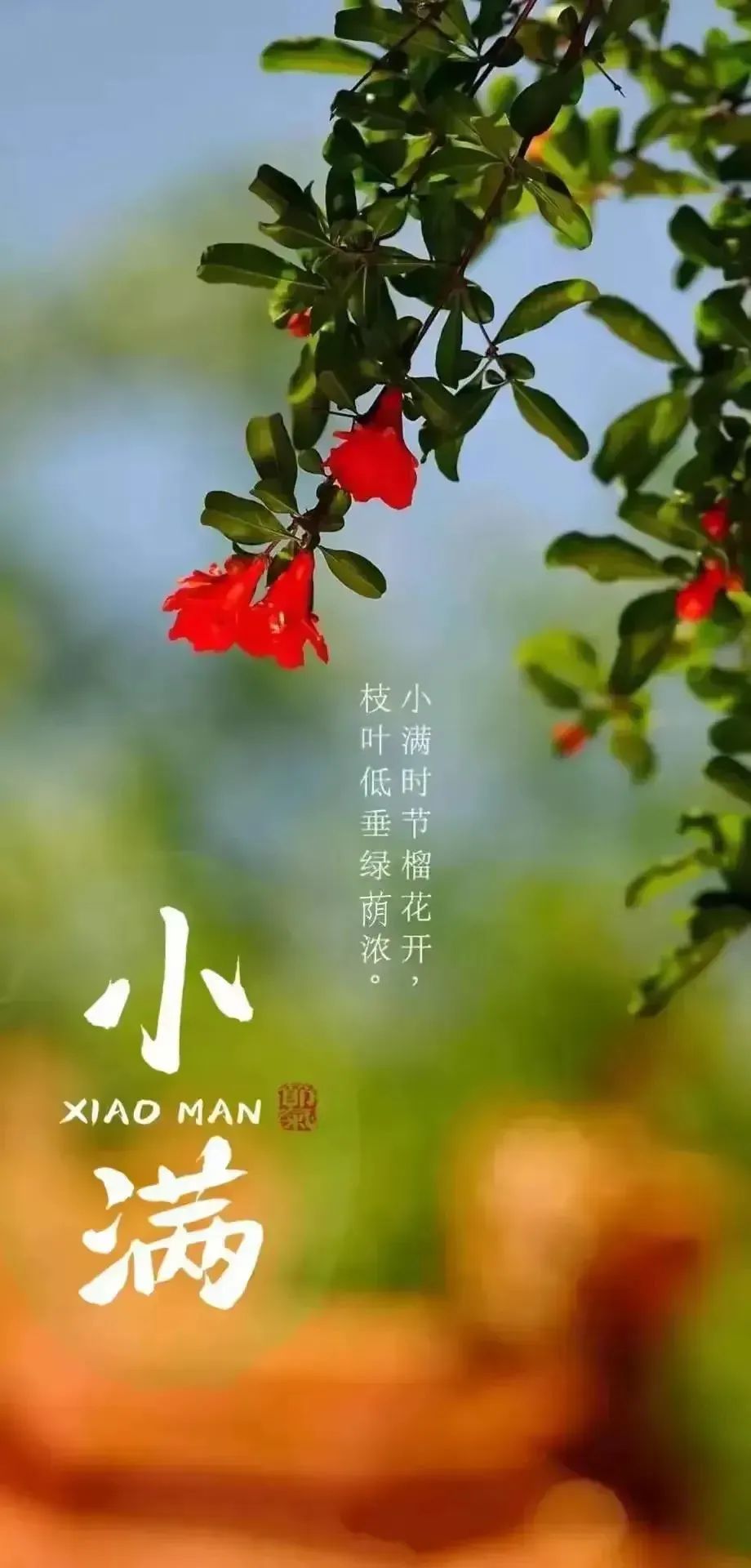 小满