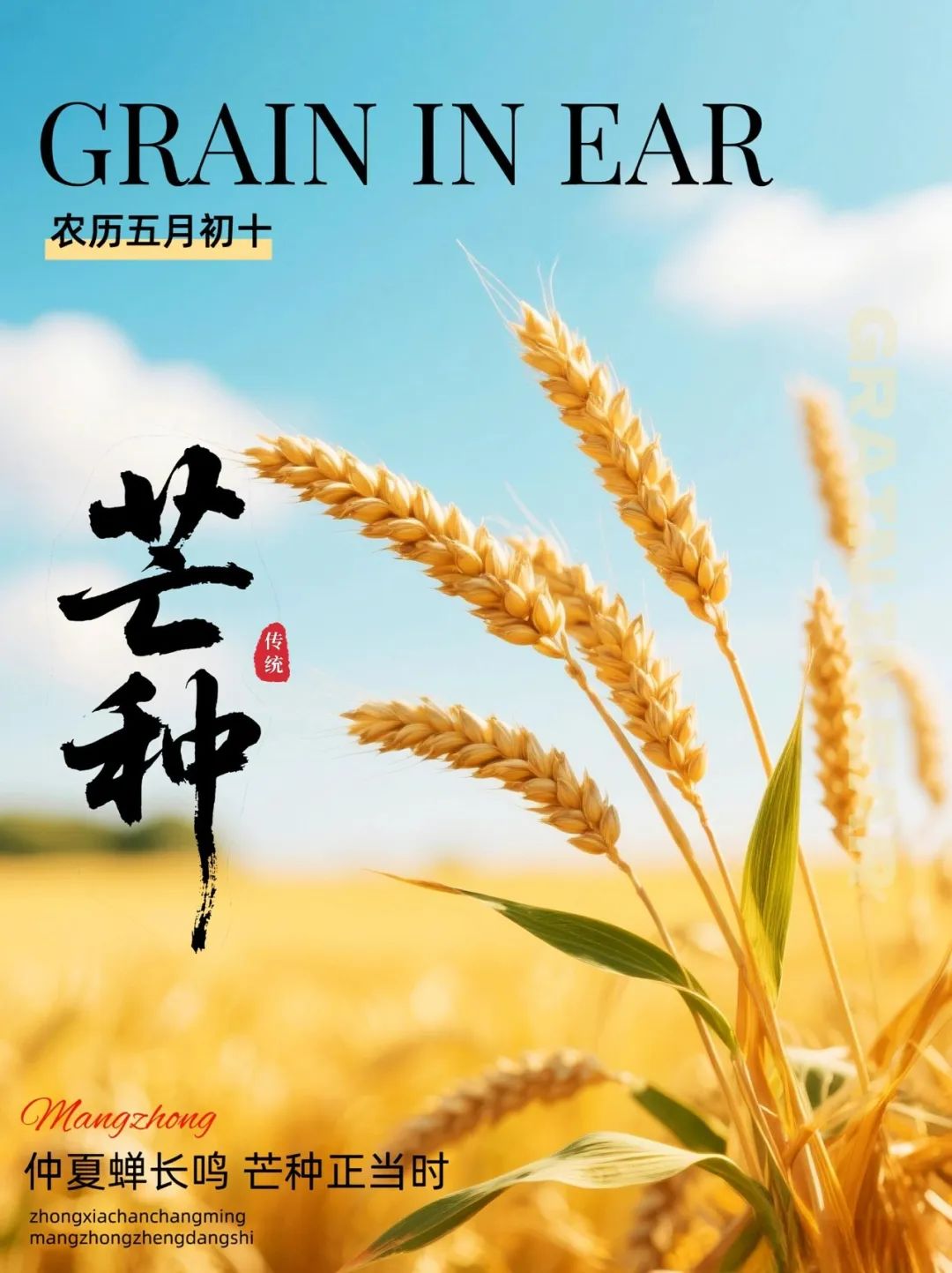 芒种