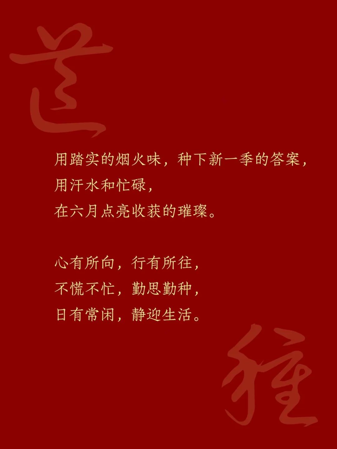 芒种