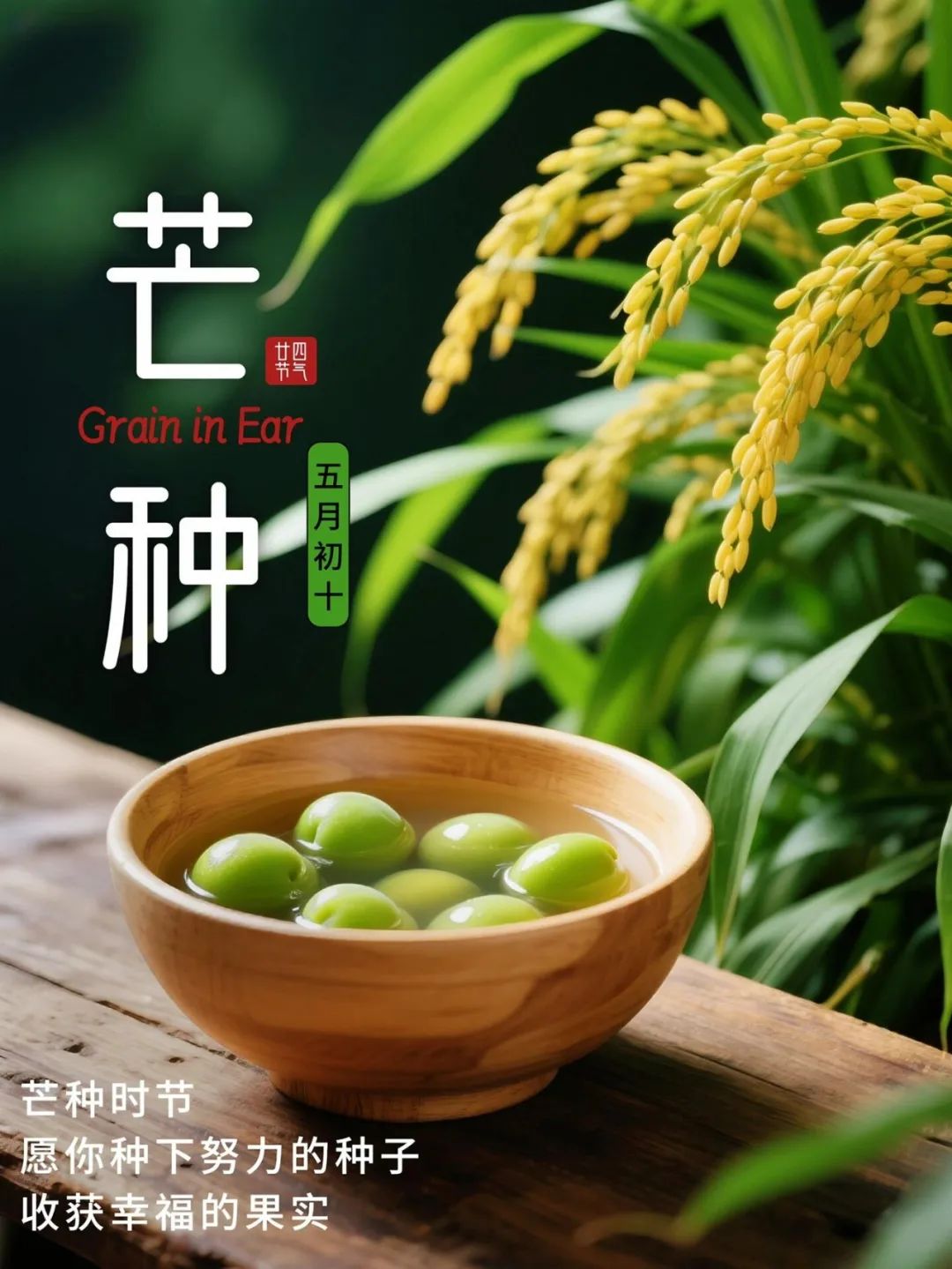 芒种