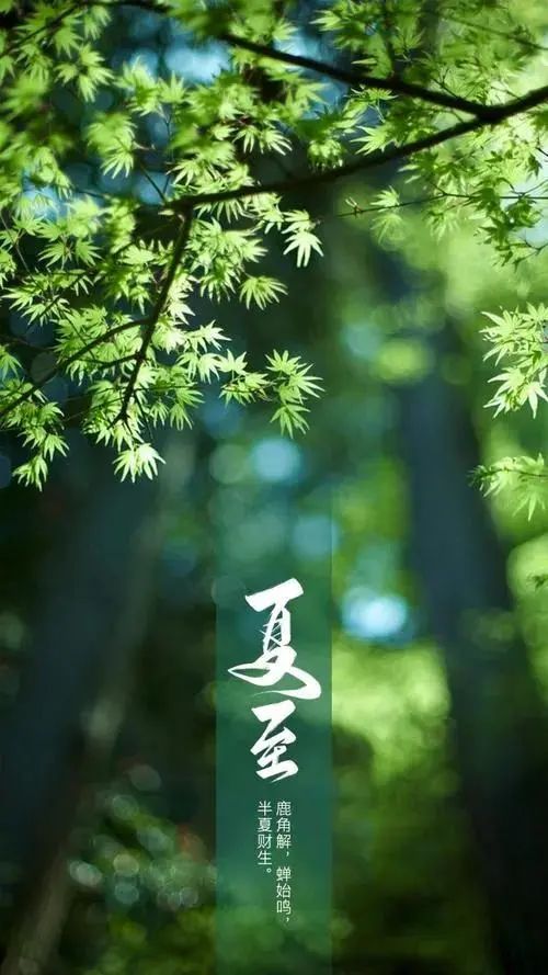 夏至