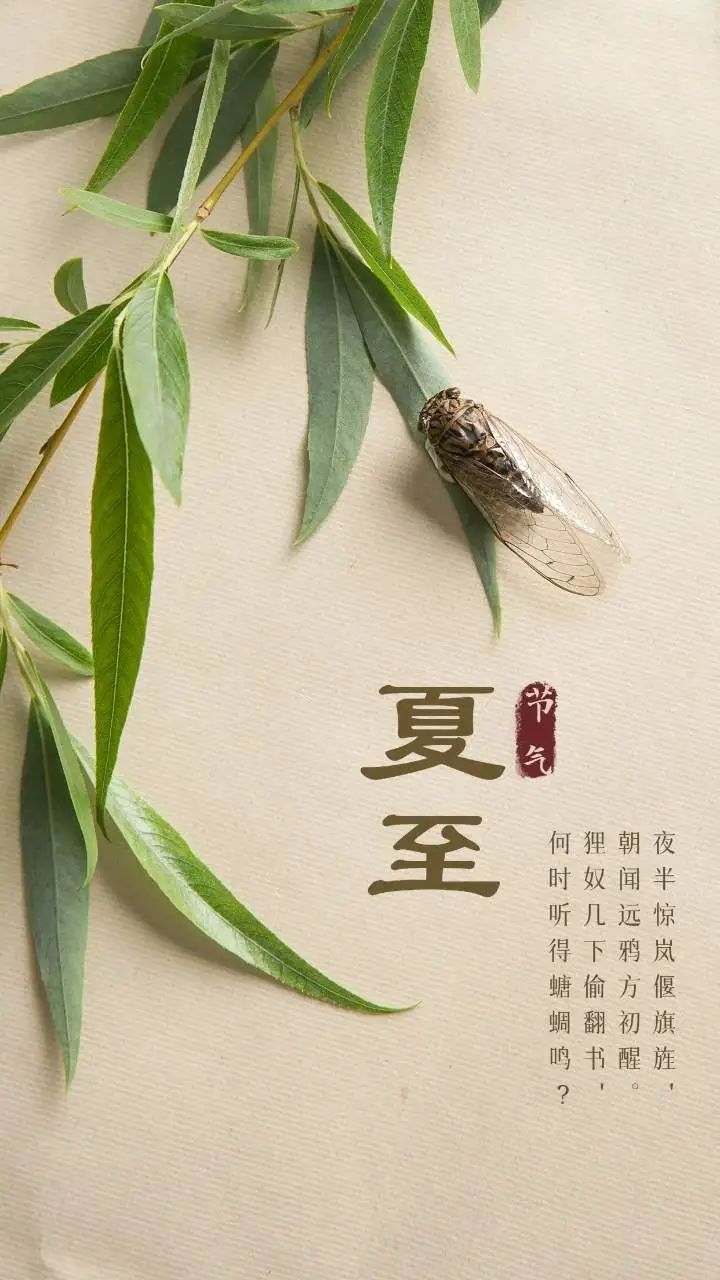 夏至