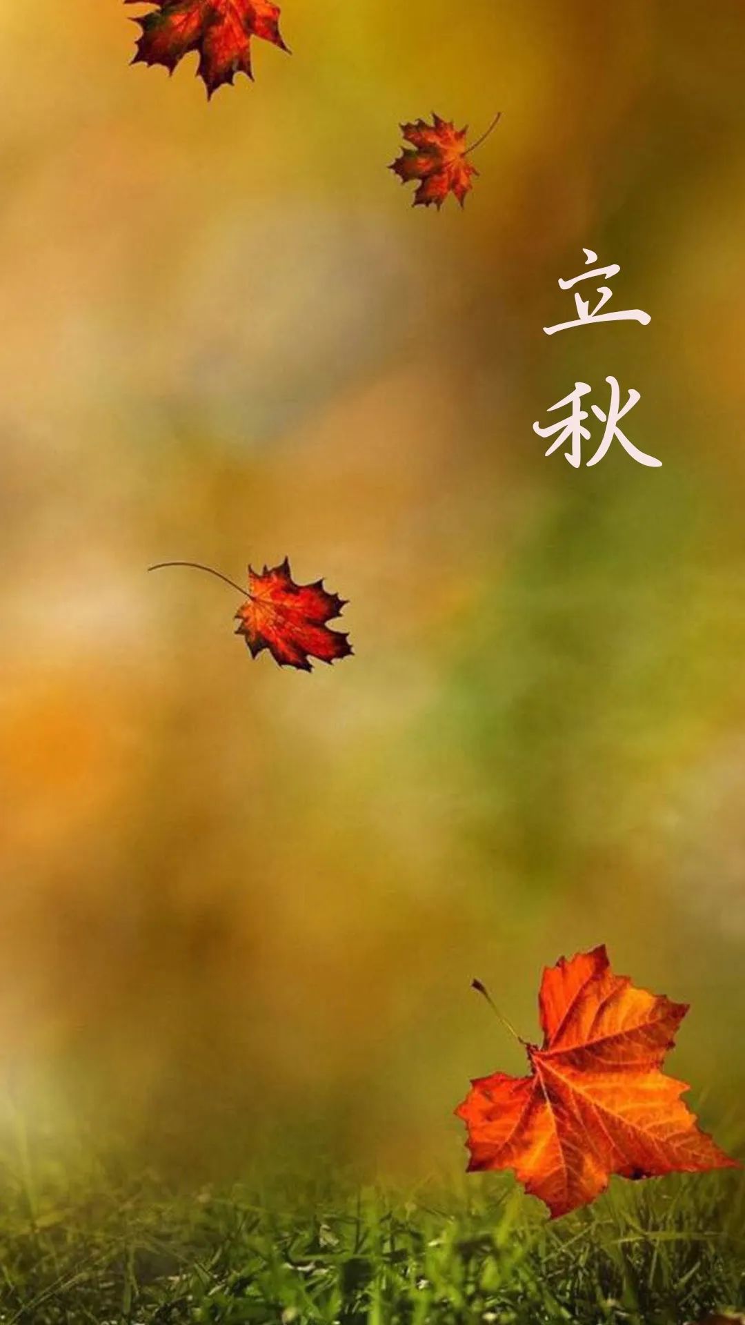 立秋