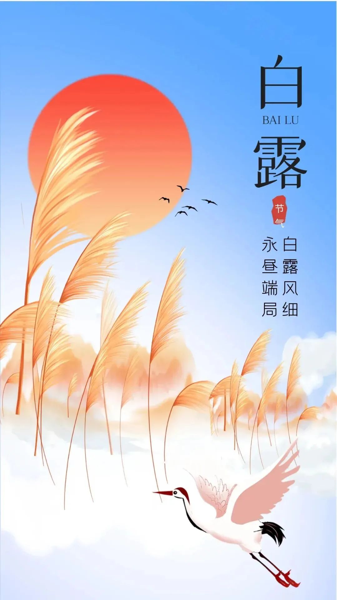 白露祝福漂亮图片｜白露快乐！白露湿萤火，金秋雁鸣过！